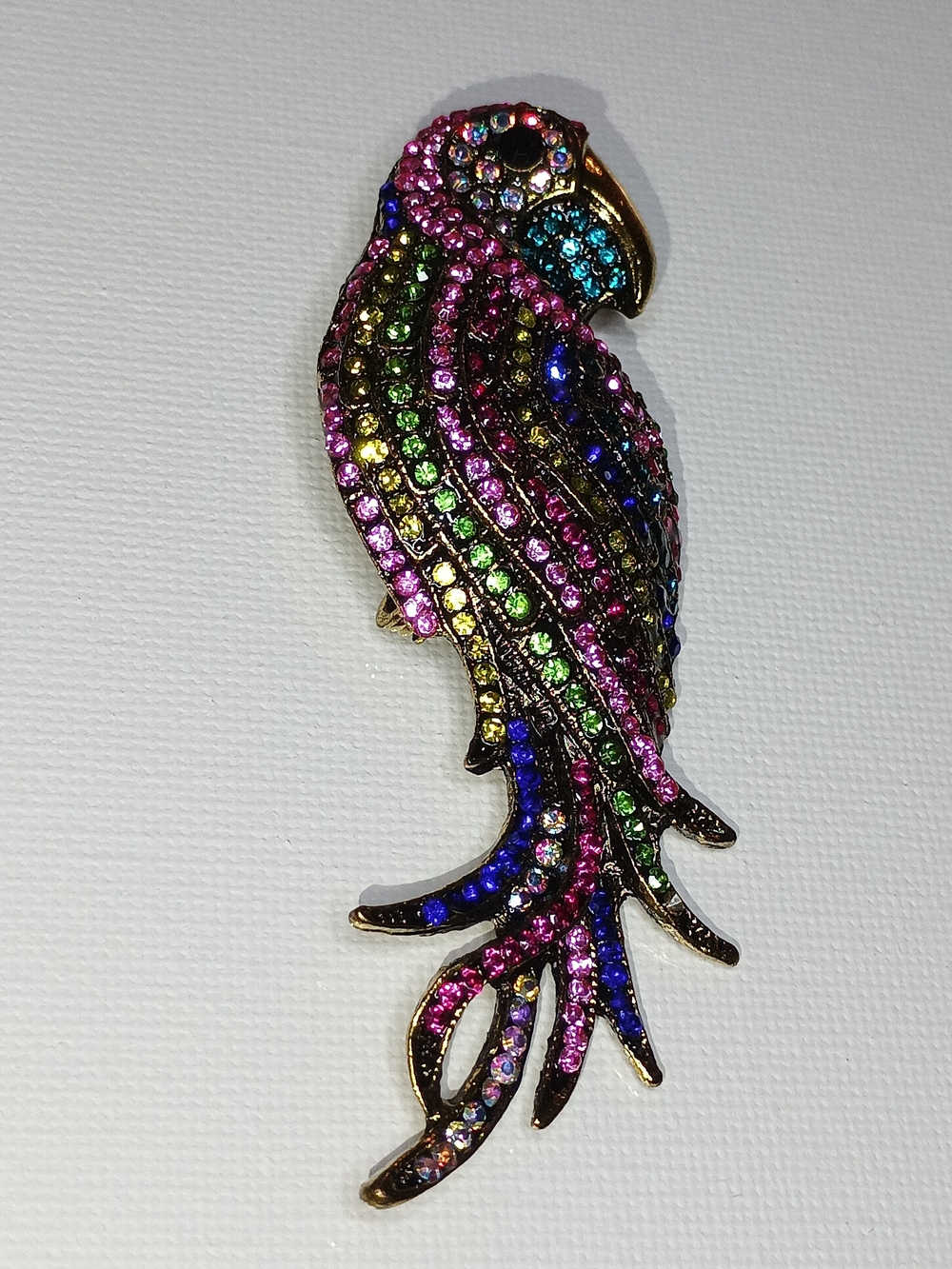 Multicolor Parrot  Brooch